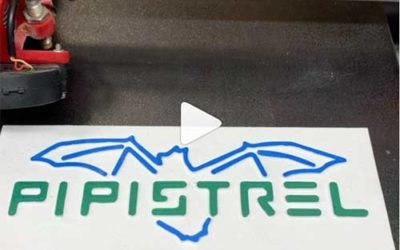 Logo Pipistrel Aviso Multicolor Impreso en 3D en Melo3D Pro