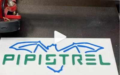 Multicolor 3D printed signs printed on a Melo3D PRO – Pipistel Logo